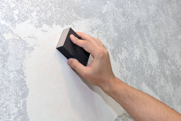 Best Mold Prevention Services  in USA